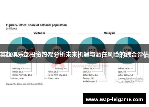 英超俱乐部投资热潮分析未来机遇与潜在风险的综合评估