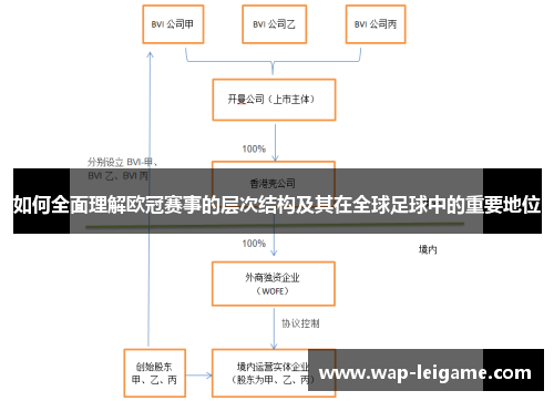 如何全面理解欧冠赛事的层次结构及其在全球足球中的重要地位