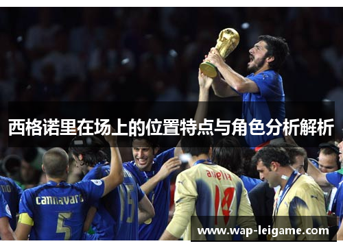 西格诺里在场上的位置特点与角色分析解析
