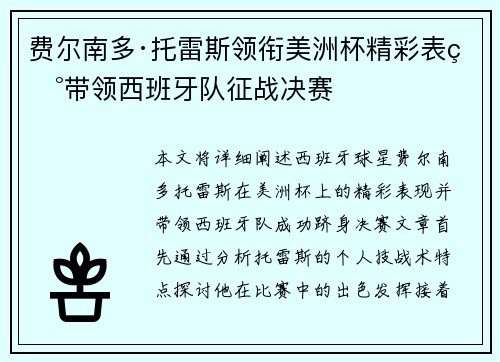 费尔南多·托雷斯领衔美洲杯精彩表现带领西班牙队征战决赛