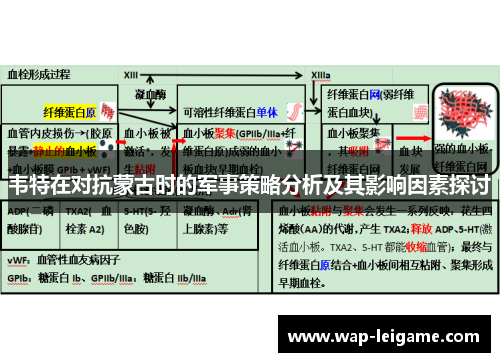 韦特在对抗蒙古时的军事策略分析及其影响因素探讨